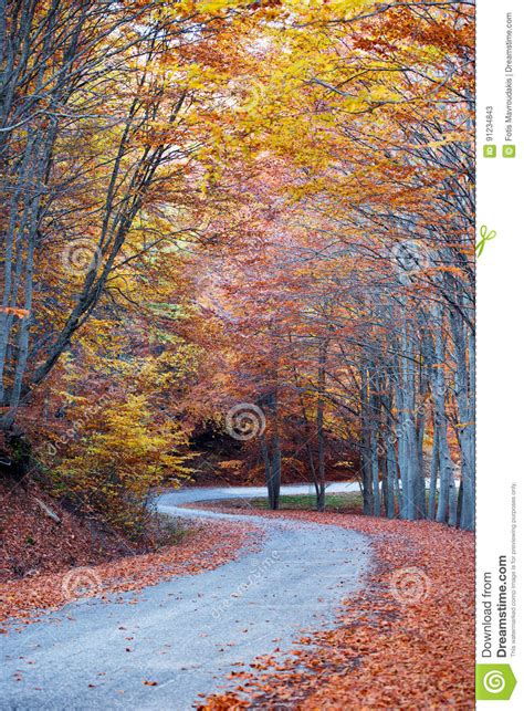 Twisty Autumn Road Stock Image Image Of Autumn Greenery 91234843
