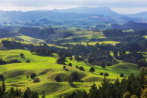 Premium Photo Beautiful Rural Landscape Of The New Zealand Green