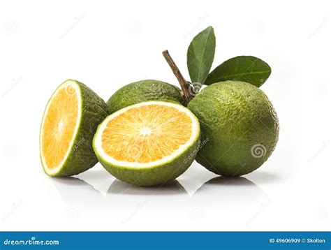 Sweet Green Oranges Fruit Stock Image Image Of Freshness 49606909