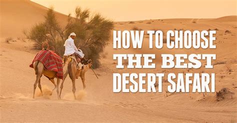 Best Desert Safari How To Choose The Best Dubai Desert Safari