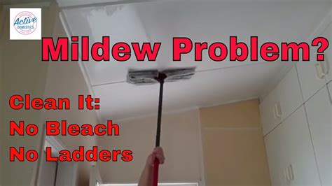How To Clean Mold Off Bathroom Ceiling With Vinegar Tutorial Pics