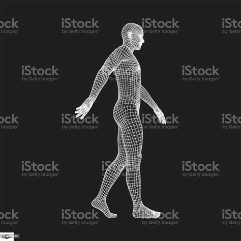 Walking Man 3d Human Body Model Human Body Wire Model Stock