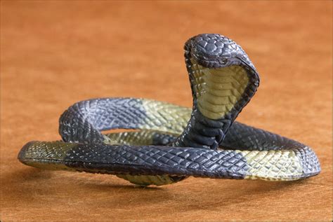 Search the world's information, including webpages, images, videos and more. Egyptian cobra - ToyAnimalWiki
