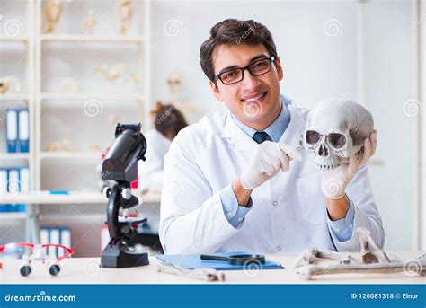 The Professor Studying Human Skeleton In Lab Stock Photo Image Of