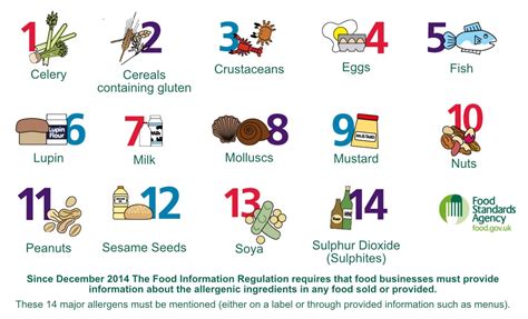 Top 14 Food Allergens Food Allergy Vs Intolerance Gastrointestinal