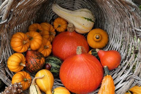 Prairie Fare Nourish Your Body And Mind With Fall Foods And A New Class Series Extension And