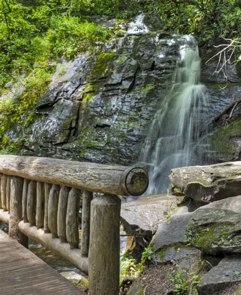 6 Best Hiking Trails In The Smoky Mountains National Park With