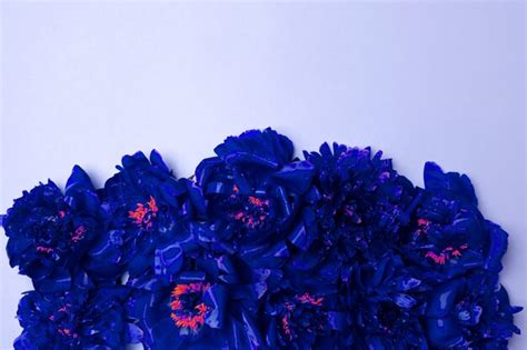 Premium Photo Bright Fresh Blue Peony Flowers