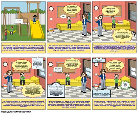 Mitosis Comic Strip Storyboard By 4ee5aa5e