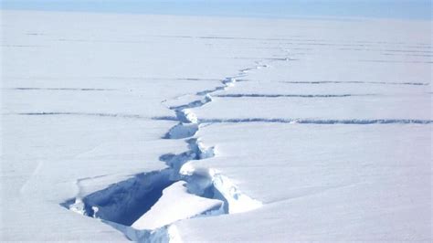 Biggest Iceberg In 50 Years Breaks Off Antarcticas Amery Ice Shelf