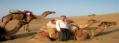 They buy and sell them like they do the arabian horses. Camel Ride Tours in Pyramids - Wow Travel Egypt