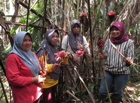 Dengan Hak Kelola Hutan Warisan Dunia Perempuan Desa Bangun Ketahanan