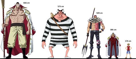 Height Comparison Of Some One Piece Giants Ronepiece