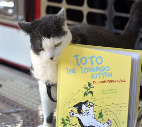 ‘toto The Tornado Kitten Book Continues To Raise Money For Animal