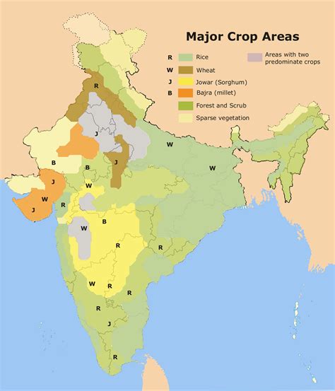 Filemajor Crop Areas Indiapng Wikimedia Commons
