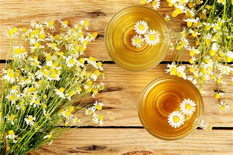 Chamomile Tea May Help Control Diabetes As My Research