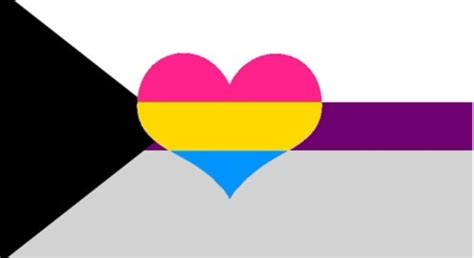Demisexual Panromantic Pride Flag Heart Flagship Pn Omnisexual Flag