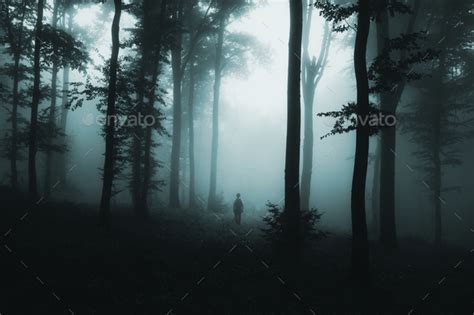 Lost In The Woods Stock Photo By Andreiuc88 Photodune