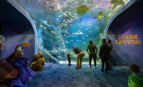 Y A T Il Un Aquarium à St Louis