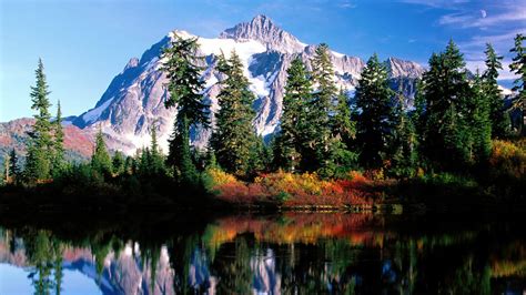 White Covered Mountain Reflection On Body Of Water With Trees