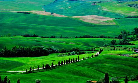 Hd Wallpaper Green Grass Field Road Trees Italy Tuscany Hill Val