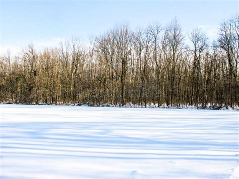 Winter Field And Forest Stock Image Image Of Nature 135251453