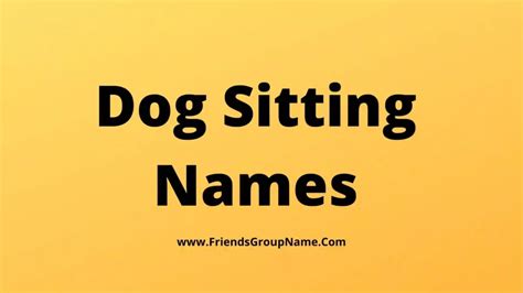 Dog Sitting Names【2023】 Best Good And Catchy Pet Sitting Business Names