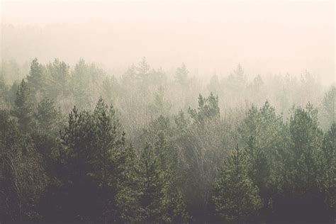 The meaning and symbolism of the word - Mist