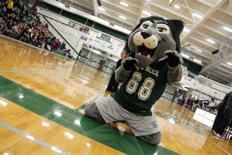 rocky is voted best mascot in the psac the rocket