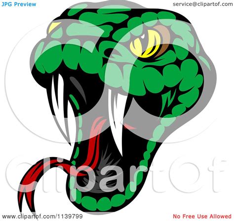 Clipart Of A Biting Green Viper Snake Royalty Free Vector