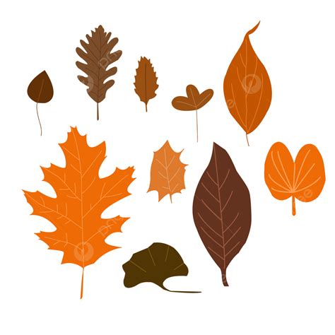 Autumn Leaves Stickers Collection Autumn Autumn Leaves Stickers Cute