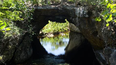 El Parque Nacional Ciénaga De Zapata En Cuba El Souvenir