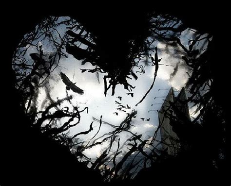 Dark Hearts On Pinterest Black Heart Heart Background And Heart