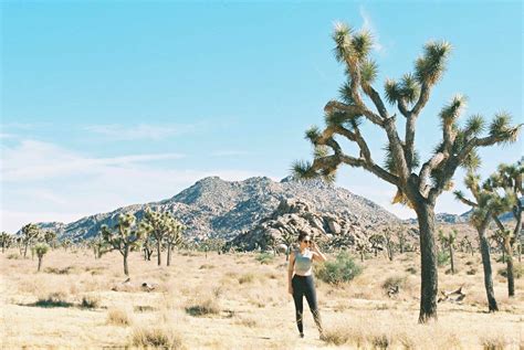 The Joshua Tree Guide Best Places To Hike Play And Stay In Joshua