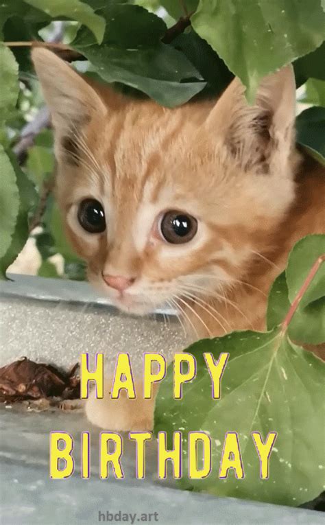 Birthday Greeting  With Cute Cat