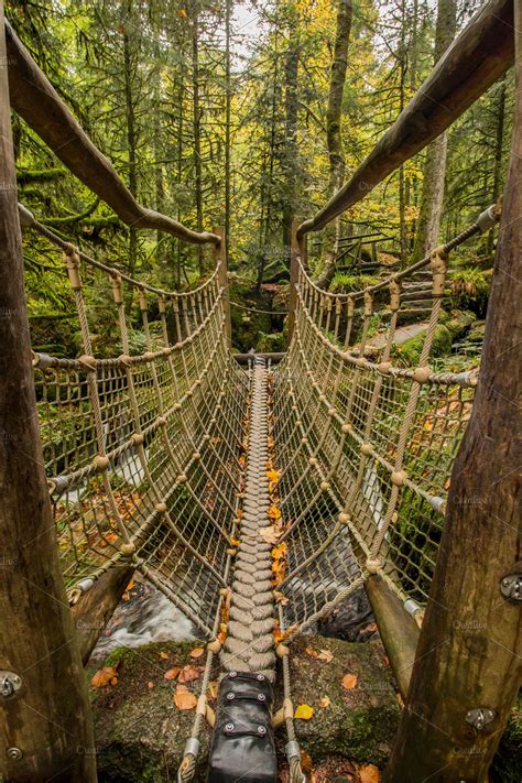 Rope Bridge In The Forest High Quality Nature Stock Photos ~ Creative