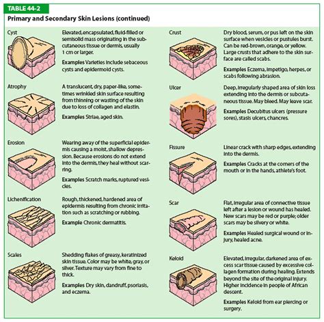 The Integumentary System And Assessment Skin Lesions Skin Nursing