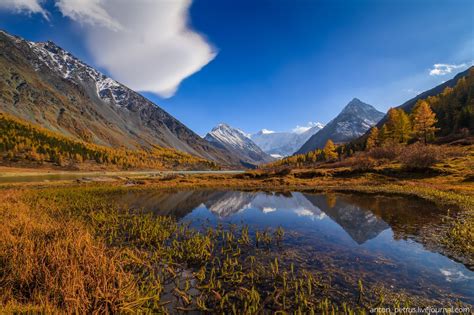 Golden Autumn In The Altai Mountains · Russia Travel Blog