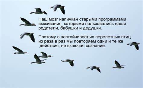 Какого цвета ваши диета Какого цвета ваши дни? Какого цвета ваши дни? Какого цвета ваши диета