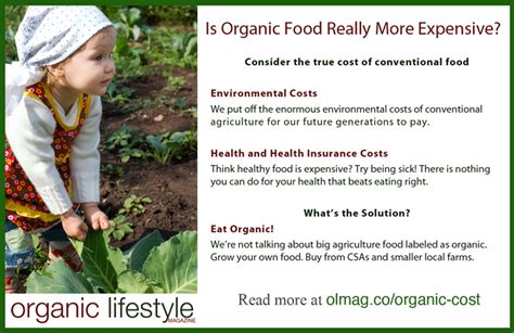 Why Organic Food Is More Expensive
