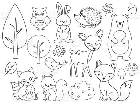 Vector Line Set Of Woodland Animals Animal Outline For Coloring