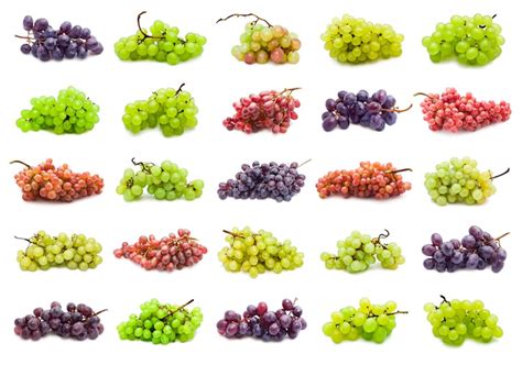 According to webmd, the 20 foods highest in antioxidants are as follows: Top 10 Antioxidant Fruits