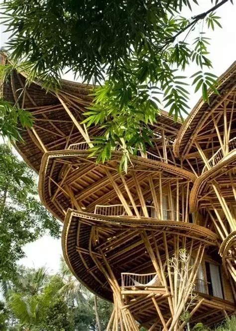 Sustainable Bamboo Tree House In Bali 9gag Architecture Design