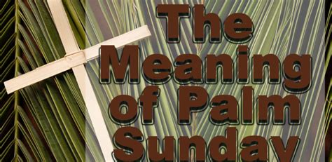 The Meaning Of Palm Sunday Inductive Bible Studyinductive Bible Study