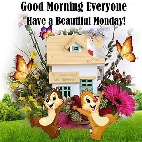 Good Morning Everyone Have A Beautiful Monday Pictures