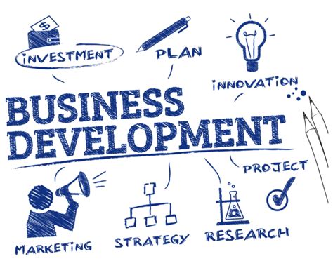 Business Development What Are The Basics