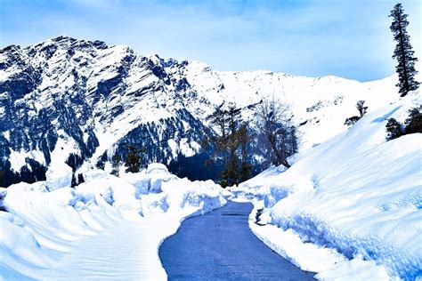 A Ride To Rohtang Pass Thrill Beyond Measure Guide Best Places To Visit