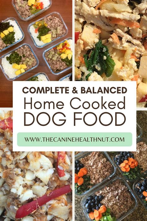 Balanced Home Cooked Dog Food Healthy Dog Food Recipes Raw Dog Food