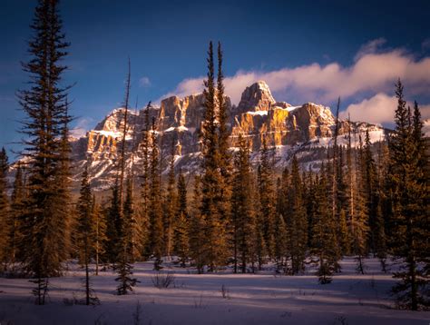 Morning View At Castle Mountain In Alberta Canada Oc 3000x2270 R