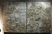 Category Ashurnasirpal Ii Reliefs In The Staatliches Museum Gyptischer